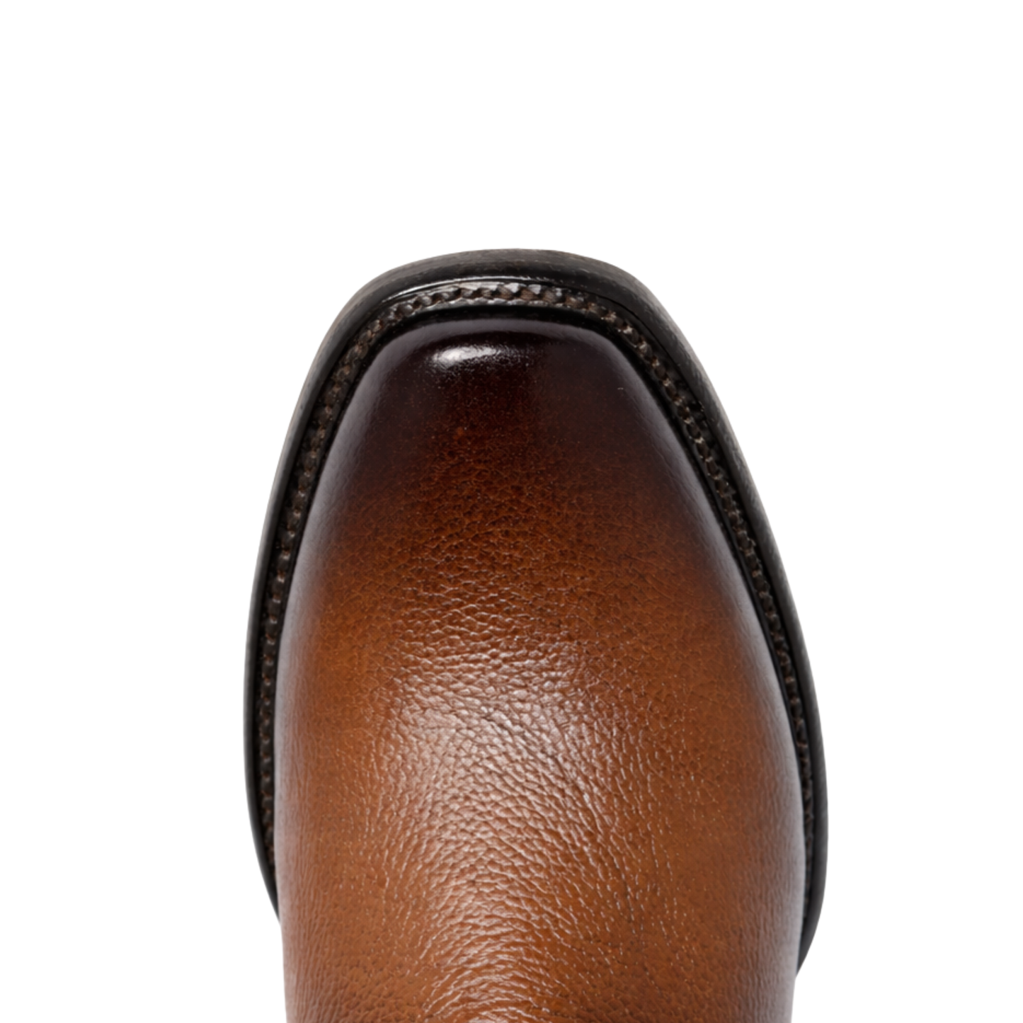 Botín París T* Venado